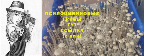 герыч Алзамай